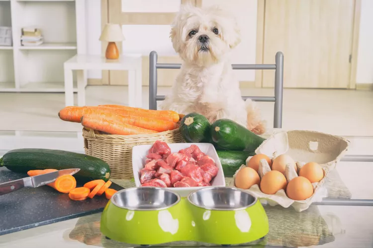 Homemade dog food recipes.