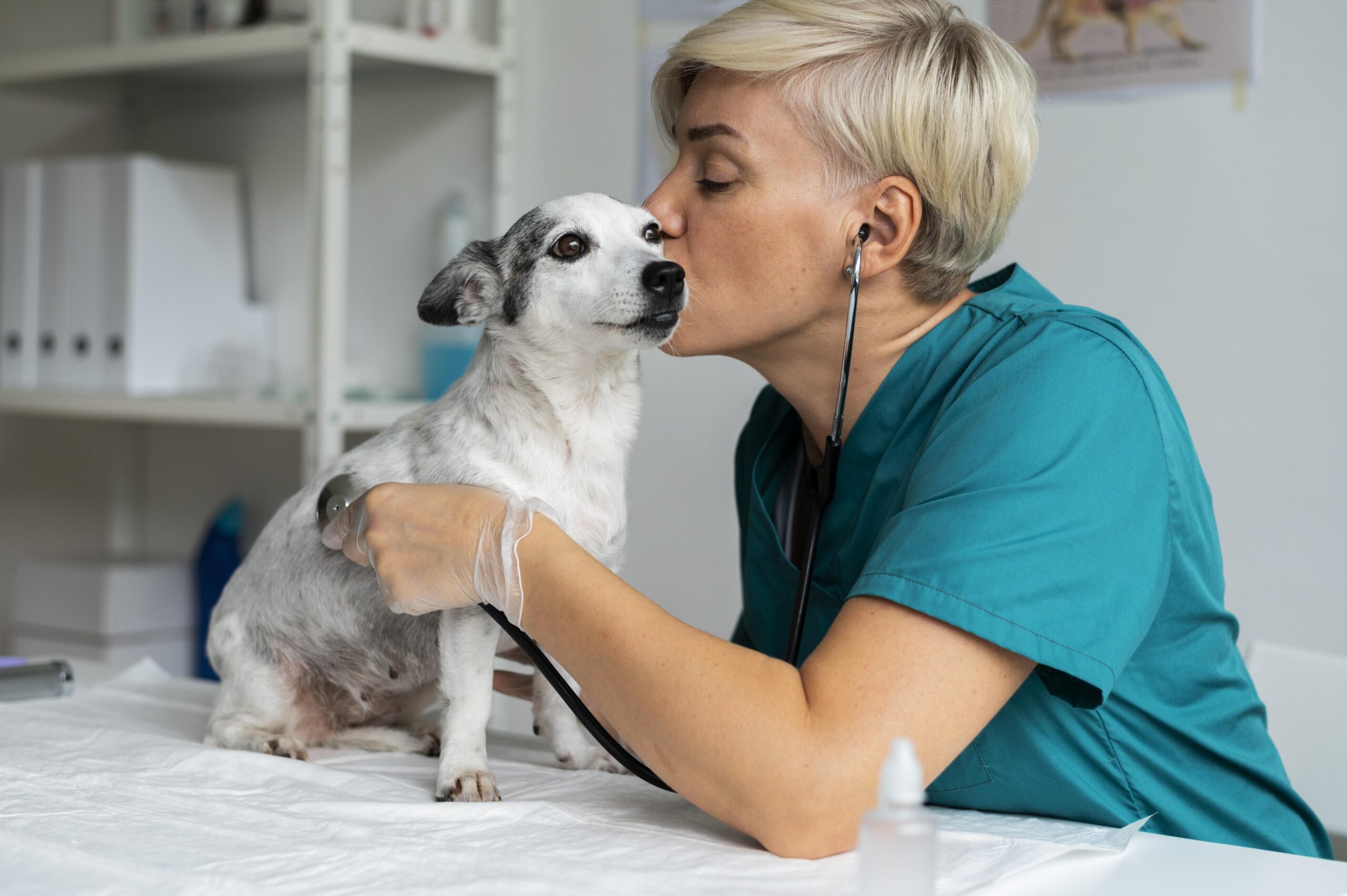 Vet examining a dog.