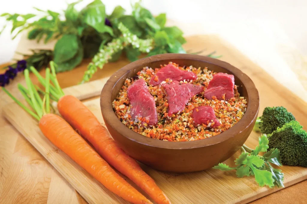 Fresh, homemade dog food in a bowl, surrounded by raw vegetables.