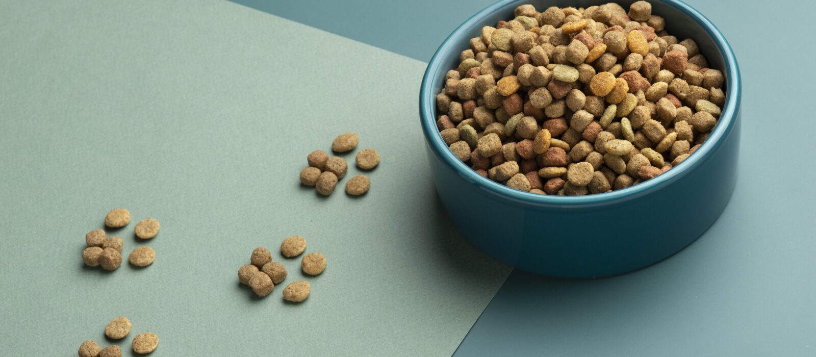 Dog food for dogs with kidney disease.